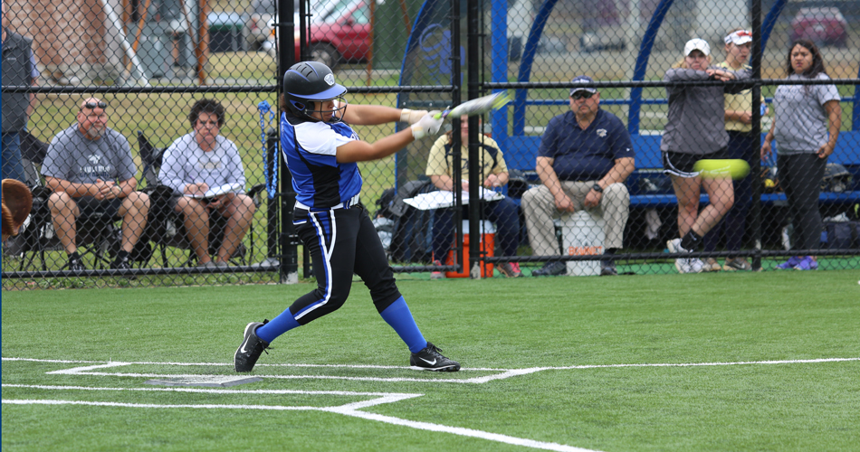 Softball falls to undefeated Mountain Lions