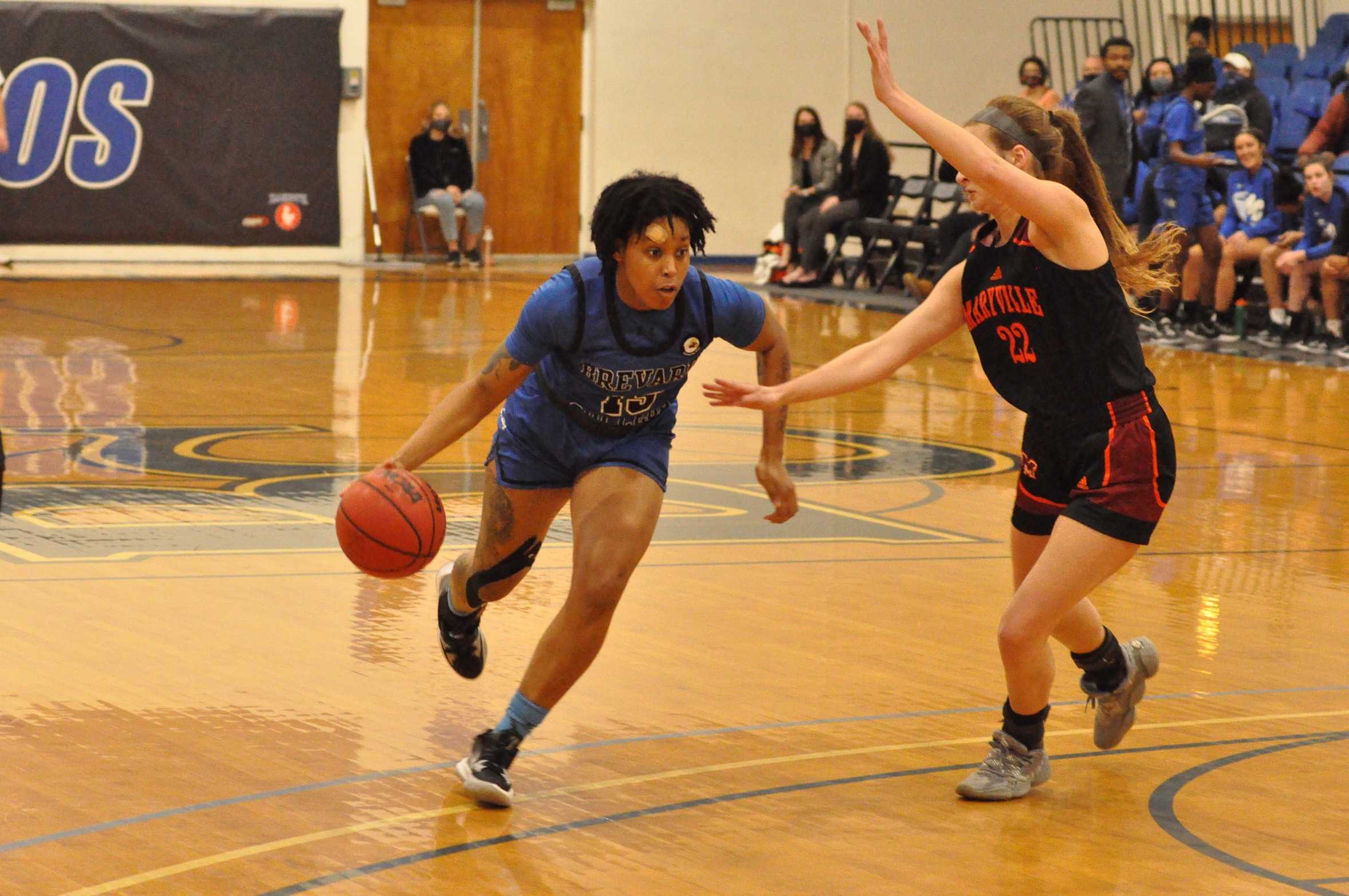 Destiny Williams registered a double-double in her final career home game to help send BC to the quarterfinals of the USA South Tournament (Photo courtesy of Tommy Moss)